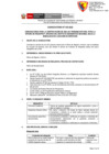 Vista preliminar de documento Convocatoria 053