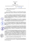 Vista preliminar de documento RER N° 597-2022