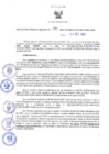 Vista preliminar de documento RES N°382-2022-GRDS