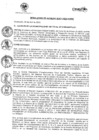 Vista preliminar de documento R.A 031-2022.pdf