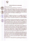 Vista preliminar de documento R.A 035-2022.pdf