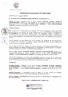 Vista preliminar de documento R.A 049-2022.pdf