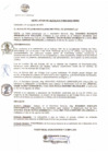 Vista preliminar de documento R.A 050-2022.pdf