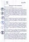 Vista preliminar de documento R.A 052-2022.pdf