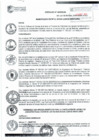 Vista preliminar de documento ORDENANZA 456-2021-MDSJM.pdf