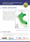 Vista preliminar de documento arroz_monitoreo_2oct22.pdf