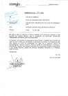 Vista preliminar de documento Descripción de Puestos Personal de CNS