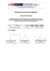 Vista preliminar de documento Resultado Evaluación Curricular Convocatoria 050.
