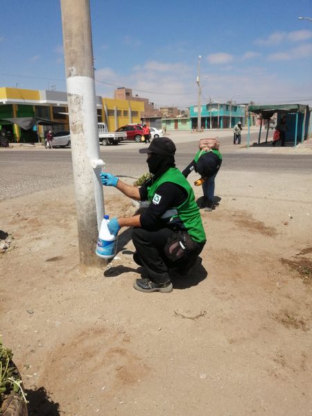 Trabajadores pintando el poste