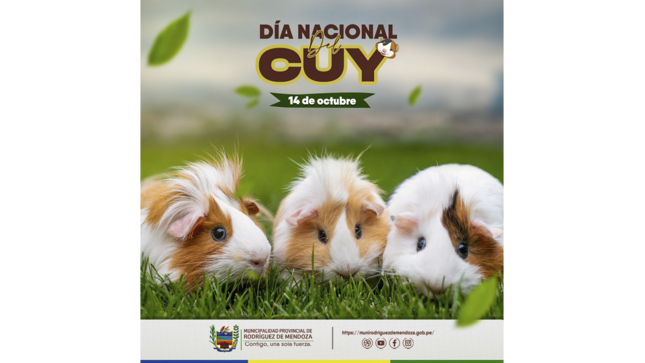 Día Nacional del Cuy