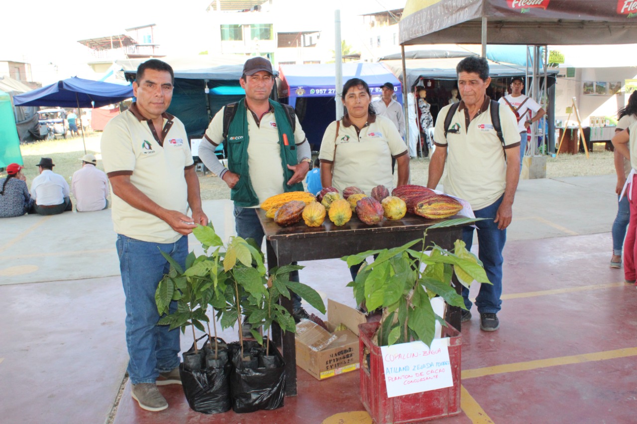 04_Imagen