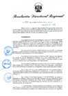 Vista preliminar de documento RDR N° 799-2022
