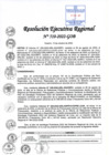 Vista preliminar de documento RER-510-2022.pdf