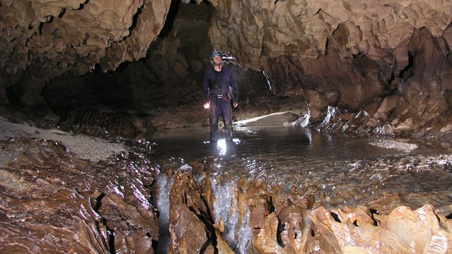 Cuevas de Palestina