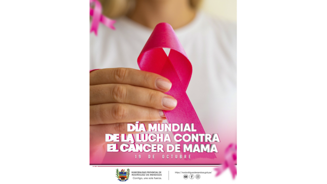 Día Mundial de la Lucha Contra el Cáncer de Mama