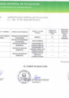 Vista preliminar de documento Resultado Final