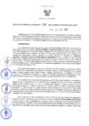 Vista preliminar de documento RES N°388-2022-GRDS