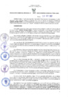 Vista preliminar de documento RES N°393-2022-GRDS