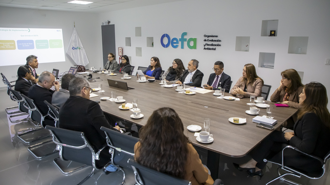 El OEFA presentó al Ministerio de Relaciones Exteriores su experiencia en la implementación del Sistema Integrado de Gestión Administrativa