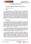 Vista preliminar de documento RESOLUCIÓN DIRECTORAL GENERAL 0028-2022