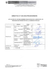 Vista preliminar de documento DIRECTIVA.pdf
