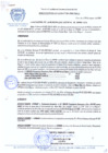 Vista preliminar de documento RESOLUCION-DE-ALCALDIA-N-216-2010-MDCA