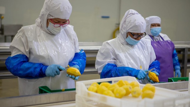 Imagen de productores de papayita andina