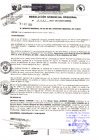 Vista preliminar de documento RG-1165.pdf