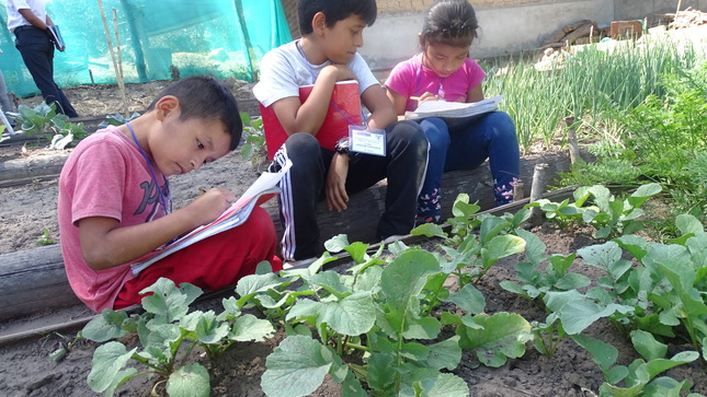 Qali Warma promueve implementación de biohuertos escolares