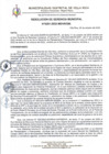 Vista preliminar de documento Resolucion-GM-N°251-2022.pdf