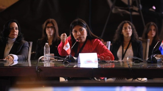 Ministra de Cultura: “Tenemos que construir una democracia cultural en América” 