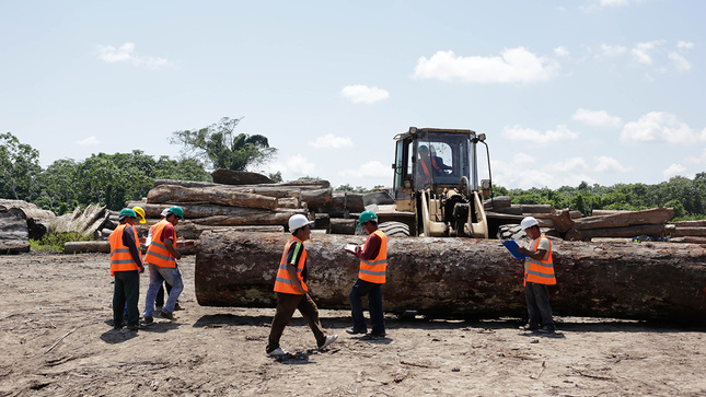 aprovechamiento madera en bosque SERFOR.jpg