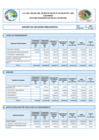 Vista preliminar de documento 9. Ejecución Presupuestal al IV Trimestre 2021