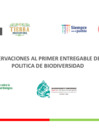 Vista preliminar de documento 6 PPT Proceso Politica DB 13Oct.pdf