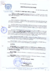 Vista preliminar de documento RESOLUCION-DE-ALCALDIA-N-246-2010-MDCA