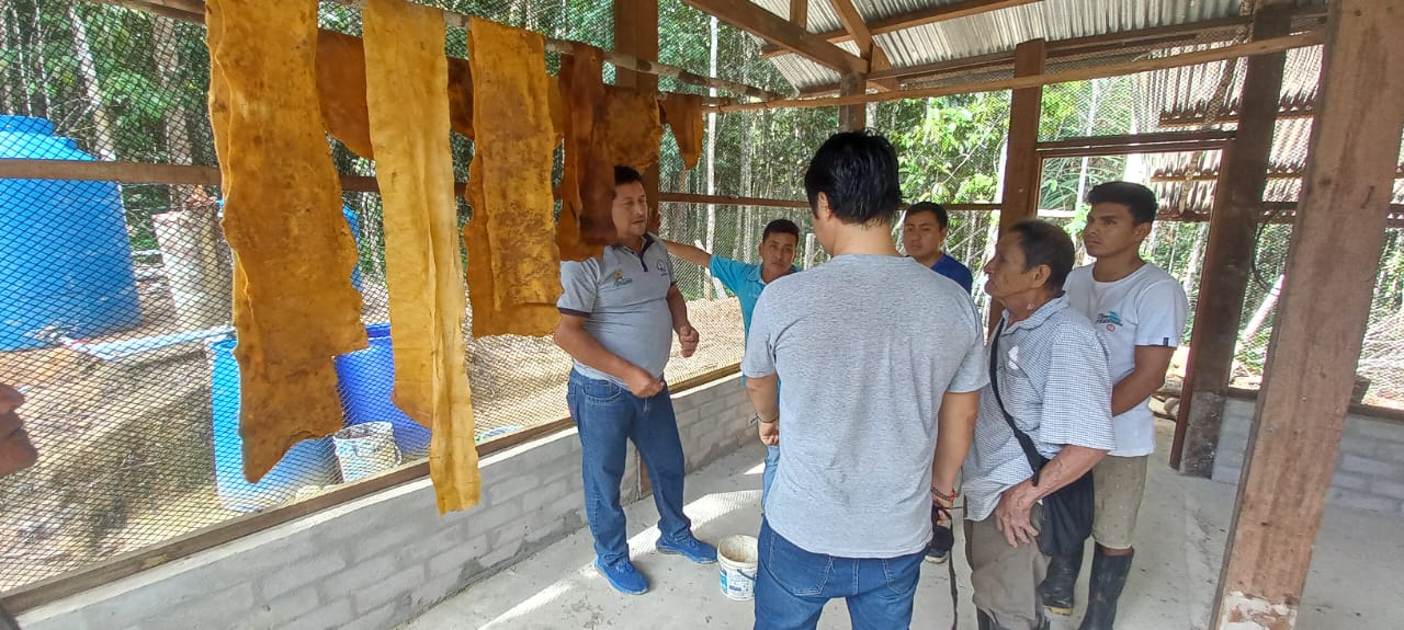 Reunión entre las empresas Ronin y Titi Brandec SAC y asociaciones ecológicas productoras de shiringa.