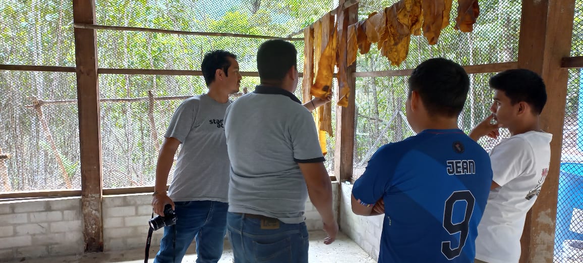 Reunión entre las empresas Ronin y Titi Brandec SAC y asociaciones ecológicas productoras de shiringa.