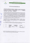 Vista preliminar de documento ACTA DE EVALUACION CURRICULAR.pdf