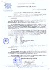 Vista preliminar de documento RESOLUCION-DE-ALCALDIA-N-288-2010-MDCA
