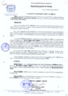 Vista preliminar de documento RESOLUCION-DE-ALCALDIA-N-294-2010-MDCA