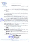 Vista preliminar de documento RESOLUCION-DE-ALCALDIA-N-296-2010-MDCA