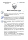 Vista preliminar de documento RD 155-2022-SA-DG-INR.pdf