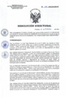 Vista preliminar de documento RD 156-2022-SA-DG-INR.pdf