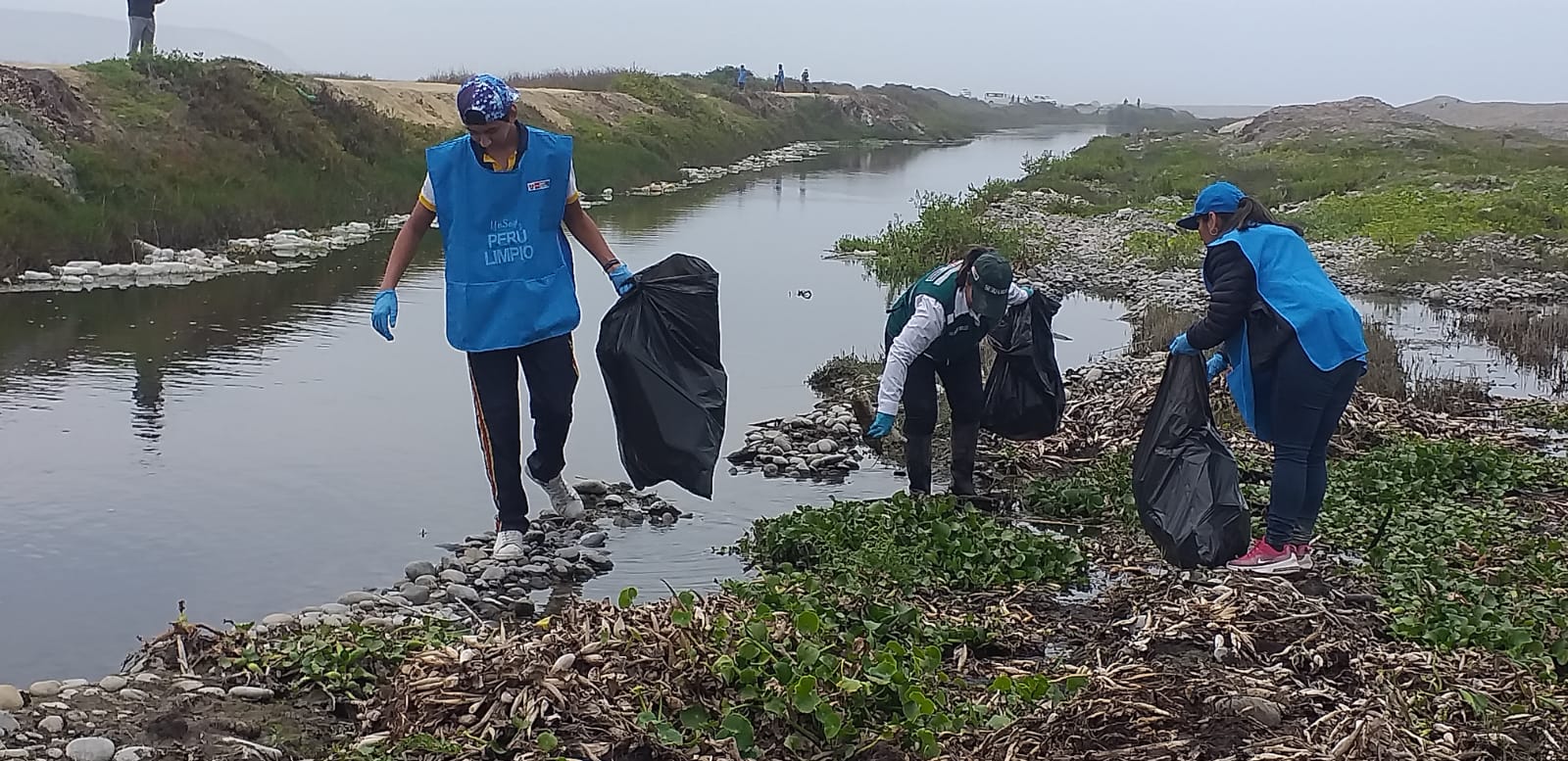 Formando conciencia ambiental