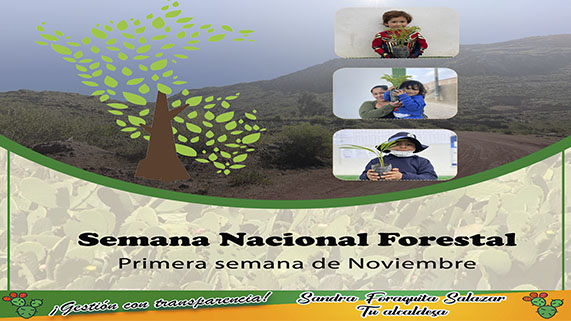 La primera semana de noviembre se celebra la Semana Forestal Nacional, esto mediante Decreto Supremo Nº210-74-AG, con la finalidad de sensibilizar a los peruanos sobre la importancia y el valor de los bosques que necesitan un manejo sostenible de sus recursos para su conservación.