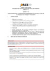 Vista preliminar de documento Anexo N° 01 - Puesto/s Vacante/s