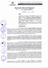Vista preliminar de documento RDR 251-2022