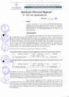 Vista preliminar de documento RDR 252-2022