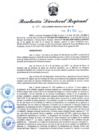 Vista preliminar de documento RDR N° 816-2022