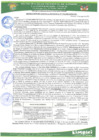 Vista preliminar de documento rgm 174.pdf